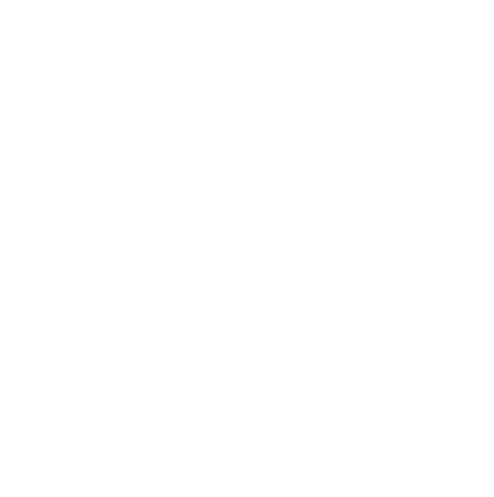 +86132199981510